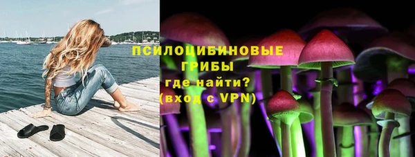 трава Алексин