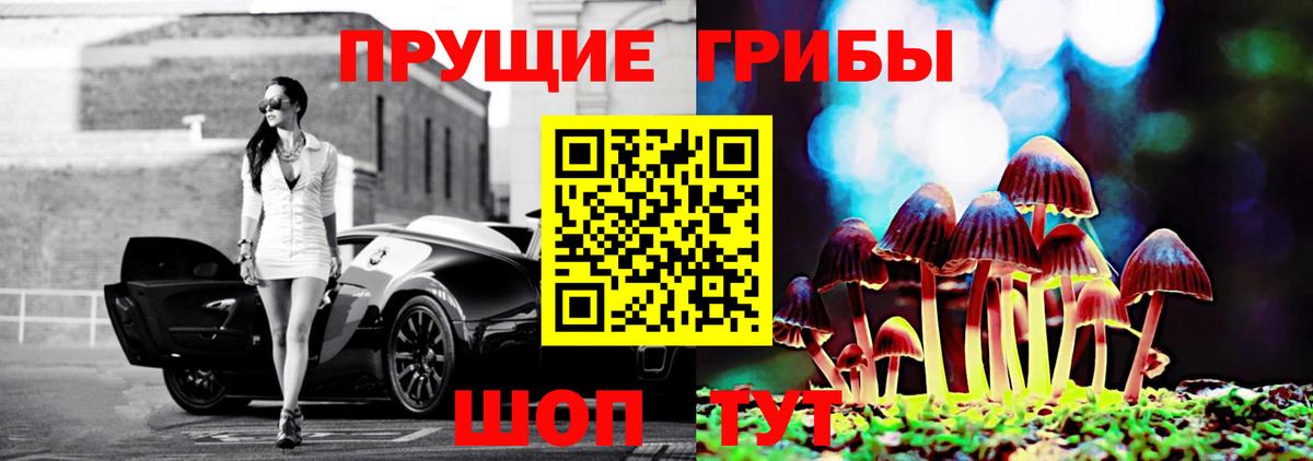 Кондопога  Галлюциногенные грибы мицелий  Вход с VPN  Галлюциногенные грибы Magic Shrooms 